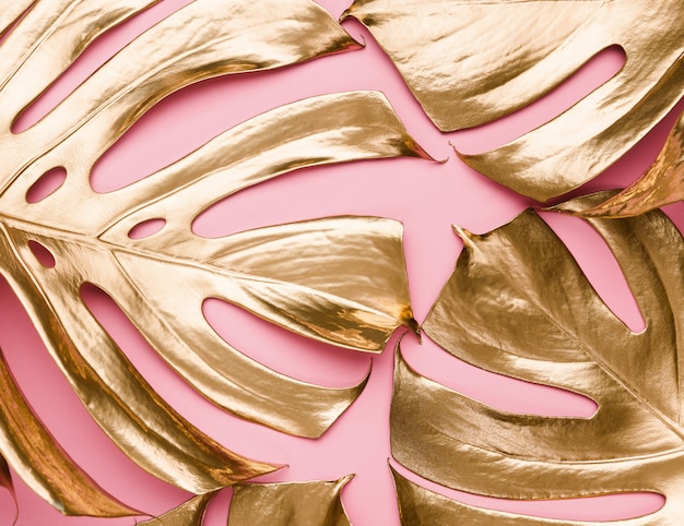 Monstera tropicale dipinto oro lascia su fondo rosa pastello astratto