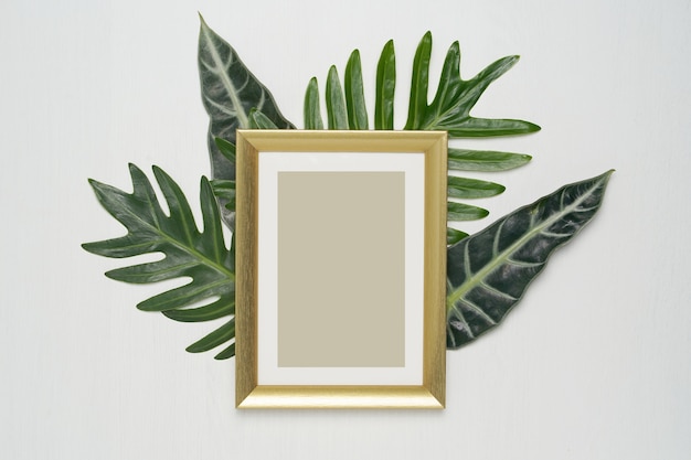 Gold photo frame and green leaves on a white background.