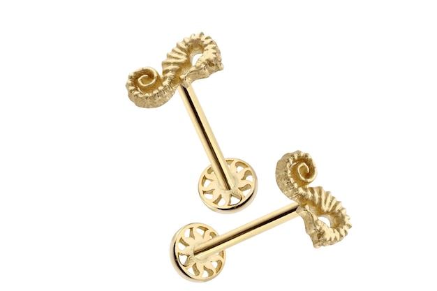 A gold pin with a large leaf design on the front.