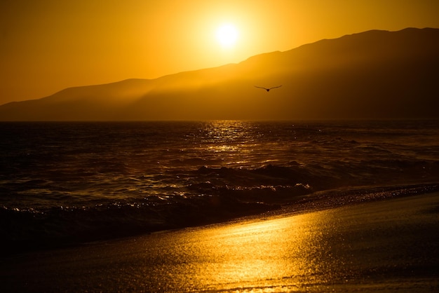 Gold sky and ocean water Golden sunrise sunset over the sea waves Sunrise over the ocean Abstract background with sunset and ocean