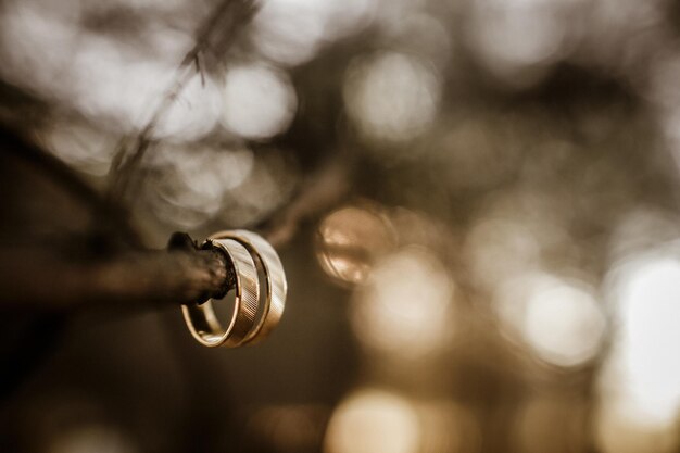 Gold wedding rings hanging on the branch in the beautifull forest