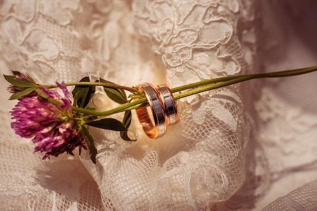 Gold wedding rings lie on the wedding dress