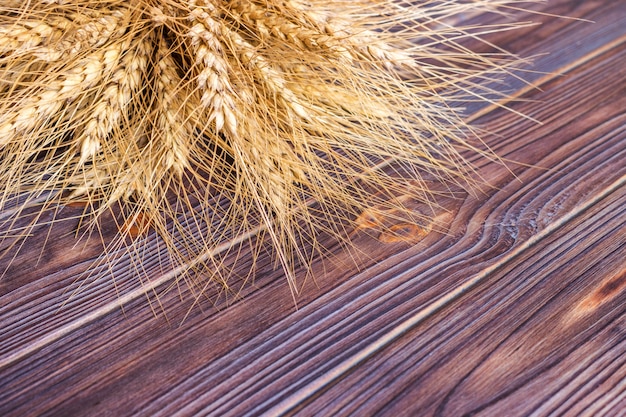 Gold wheat lying on a brown wooden surface