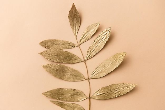 Photo golden ash tree leaf on beige background