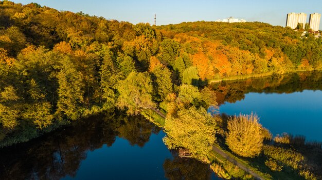 Золотая осень, вид с воздуха на лес с желтыми деревьями и пейзаж озера сверху