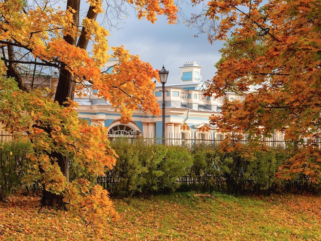 Golden autumn in Catherine Park Tsarskoye Selo Old city park with bright autumn golden maples on a sunny day