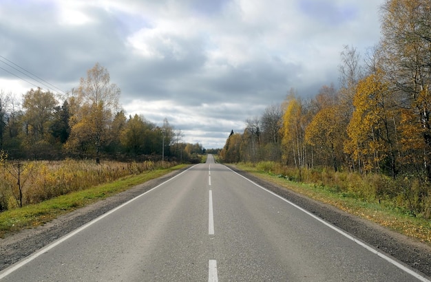 Autunno dorato strada diretta suburbana vuota con nuovi segnali stradali in una giornata autunnale nuvolosa