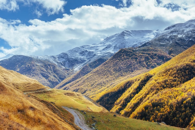 Золотой Осенний пейзаж между скалистых гор в Грузии. Каменная дорога. Европа