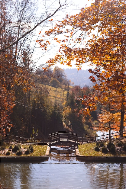 木々の丘に囲まれ、湖に架かる橋を見下ろす山々の黄金の秋