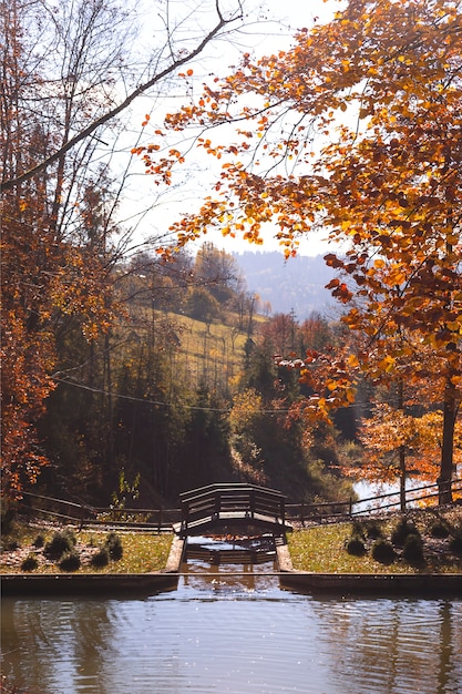 Golden autumn in the mountains among the trees hills and overlooking the bridge over the lake