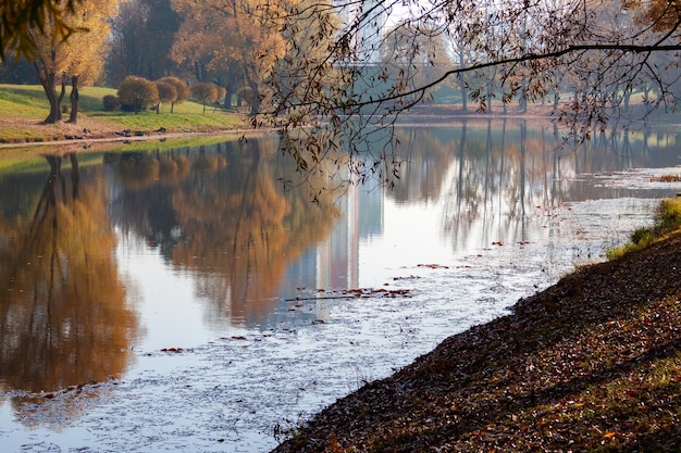 Golden autumn in the park branches leaning over the river