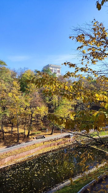 公園の黄金の秋