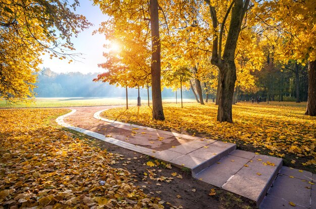 Golden autumn trees of Tsaritsyno park in Moscow and the bend of the alley on an early sunny morning