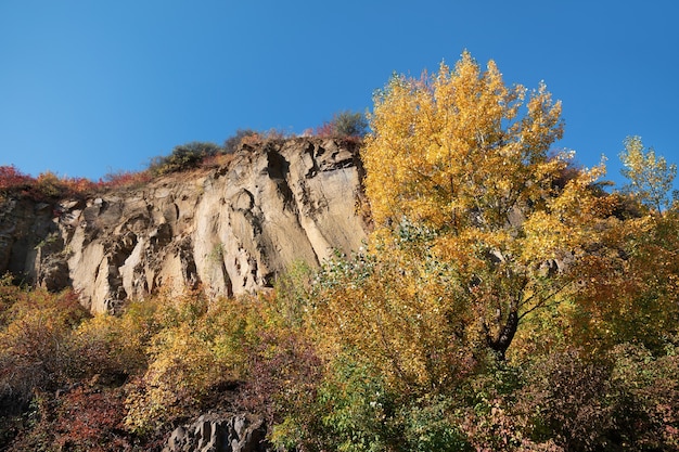 Golden autumn with colourful trees in old quarry. Rocks and yellow trees