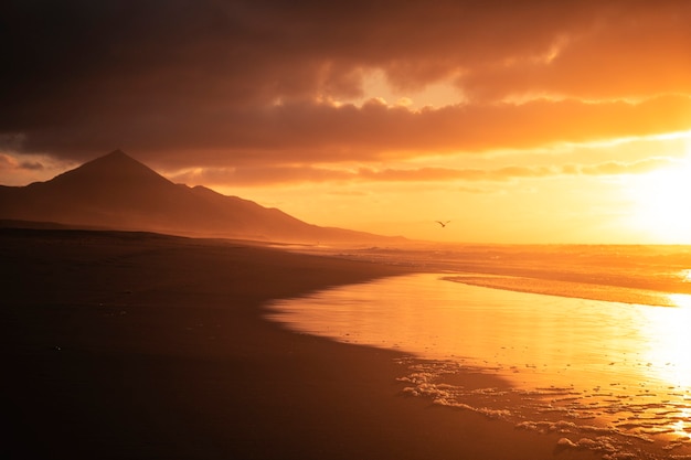 Золотой красивый красный закат на пляже с чайкой, летящей для свободы и концепции отпуска, никто не в тропическом диком живописном месте с океаном и горами, тихий и мирный пейзаж летом