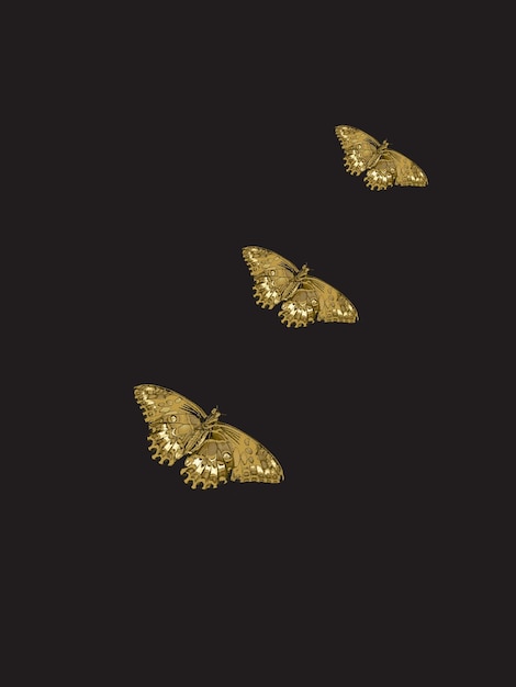 사진 황금 아름다움 나비 곤충 아이콘