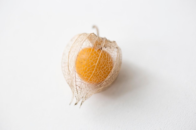 Golden berry organic fruit physalis peruviana fresh berries