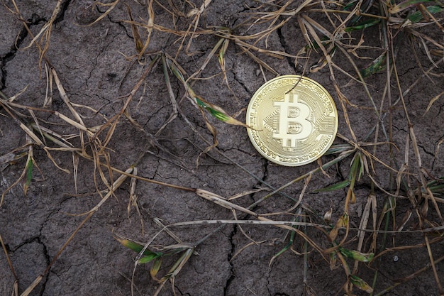 Golden Bitcoin Coin on dry cracked ground background Financial Crisis concept Bitcoin cryptocurrency