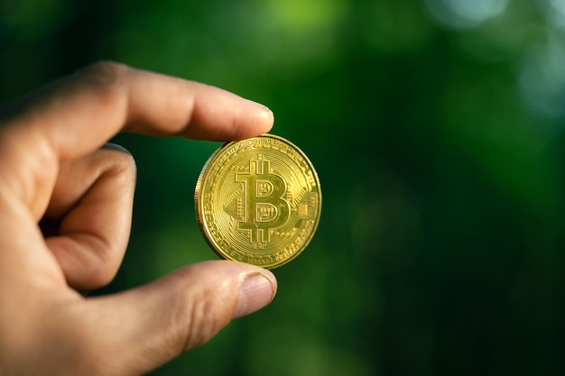 Golden bitcoin coin on lush green moss