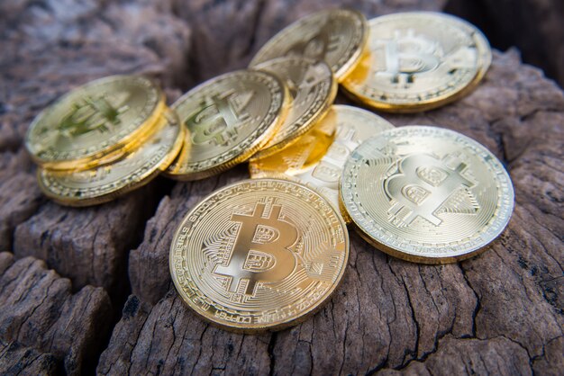 Golden bitcoin coin on and money on wood table.