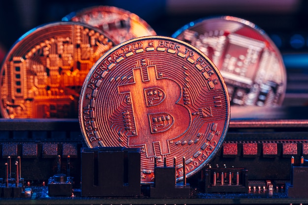 golden bitcoin and computer chip