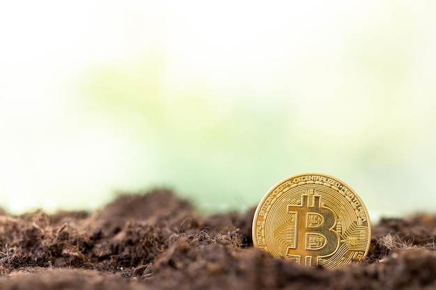 golden bitcoin on soil background cryptocurrency concept