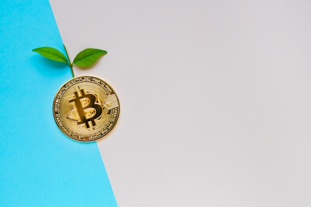 Photo golden bitcoin with leafs