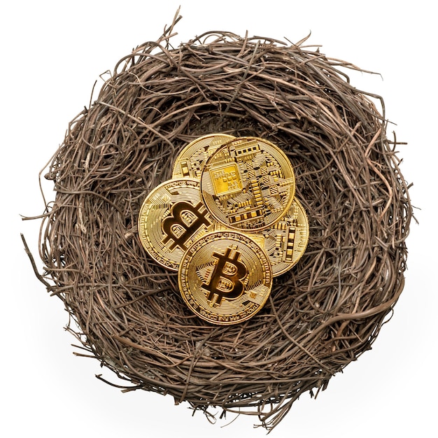 Golden bitcoins in a bird nest