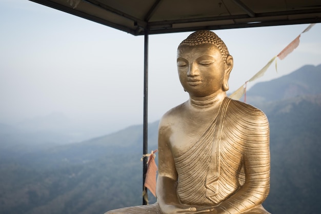 黄金の仏像と山脈と空