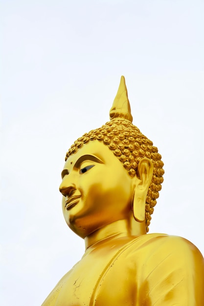 Golden buddha statue