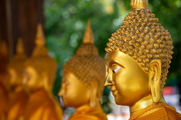 Buddha d'oro nel tempio