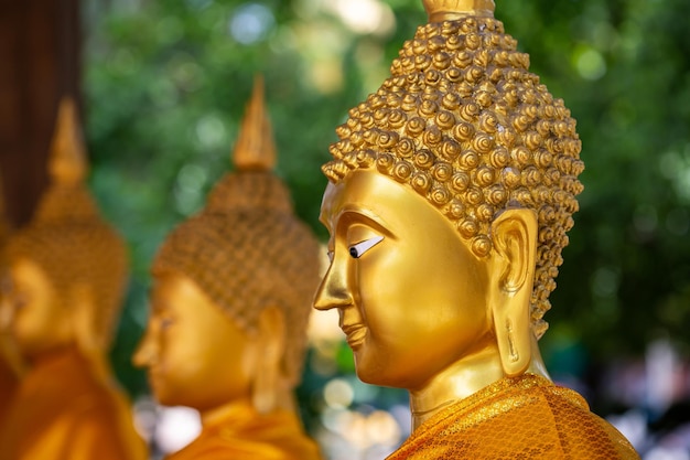 Golden buddha