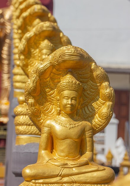 Golden buddhaxA wordt gerespecteerd door degenen die het in religie zien. Het is een Aziatische sculptuur