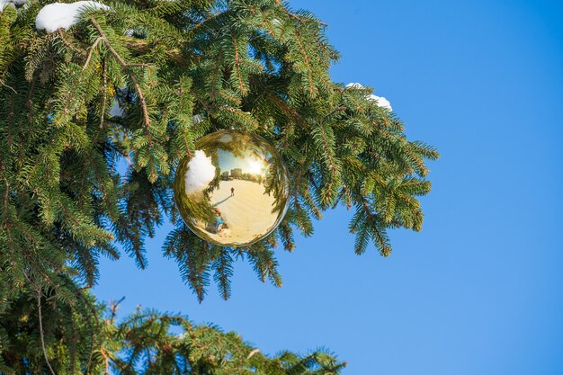 Golden Christmas ball on a green pine tree branch on blue sky background, close up