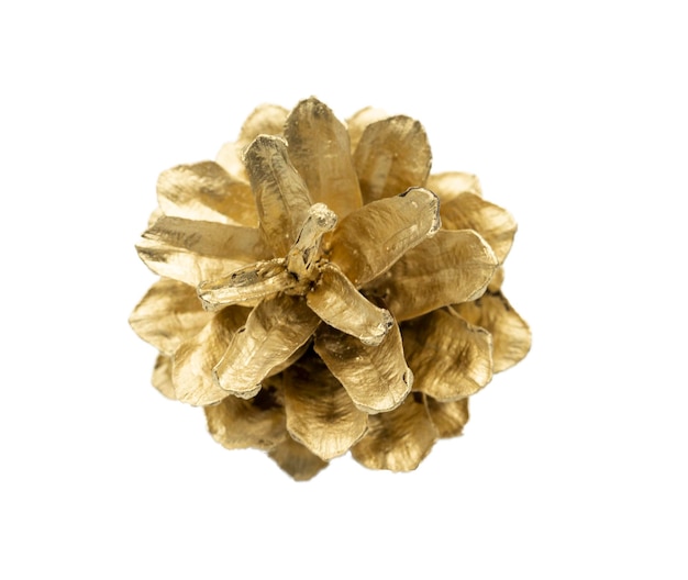 Golden Christmas fir-cone on a white background.