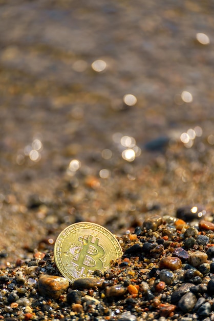Золотая монета в прибрежном песке Новая финансовая система