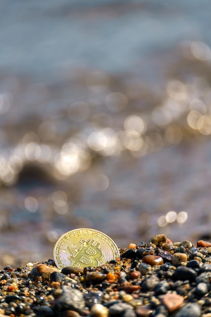 海岸の砂の中の黄金のコイン 新しい金融システム