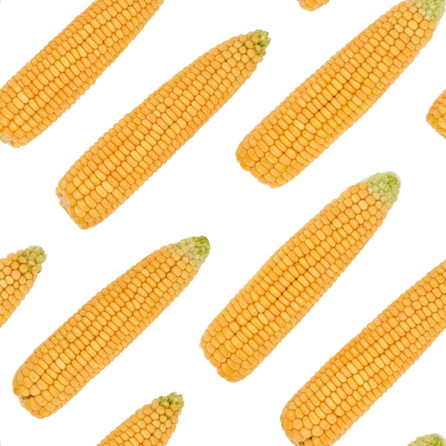 Golden corn seamless pattern with cobs of sweet corn vegetables on white background