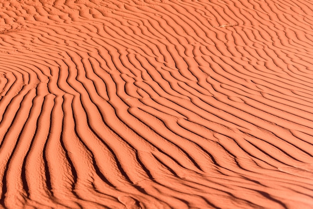 Golden desert dunes