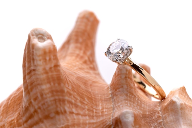 Golden Diamond Ring on Seashell