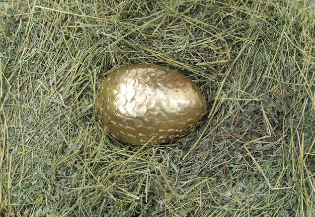 golden dragon egg on hay