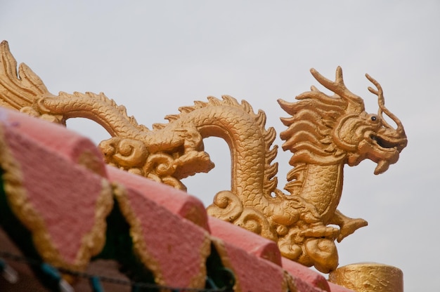 Photo golden dragon statue in china