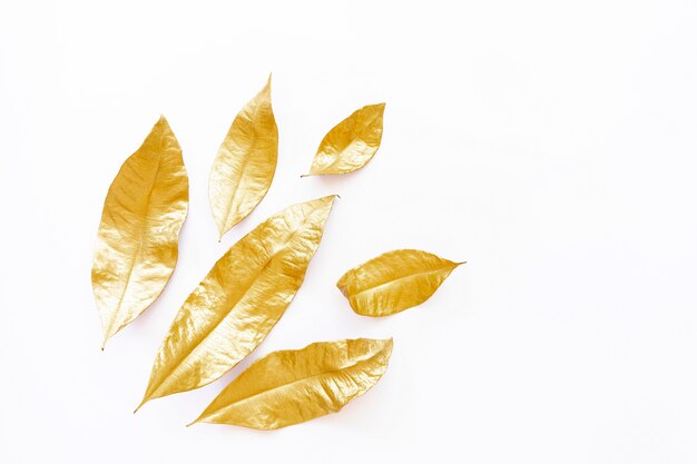 Golden dry leaves isolated on white background