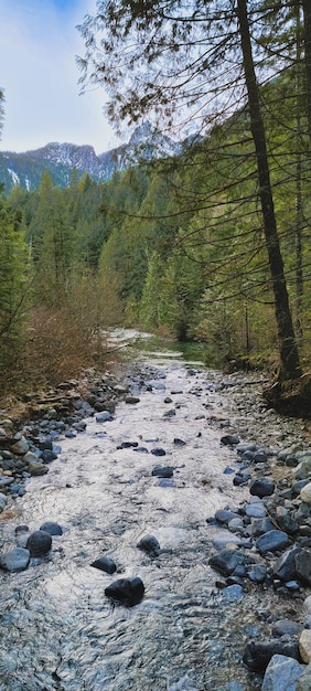 Photo golden ears provincial park