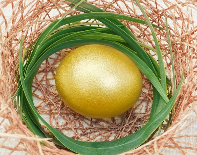 Golden easter egg in a nest.