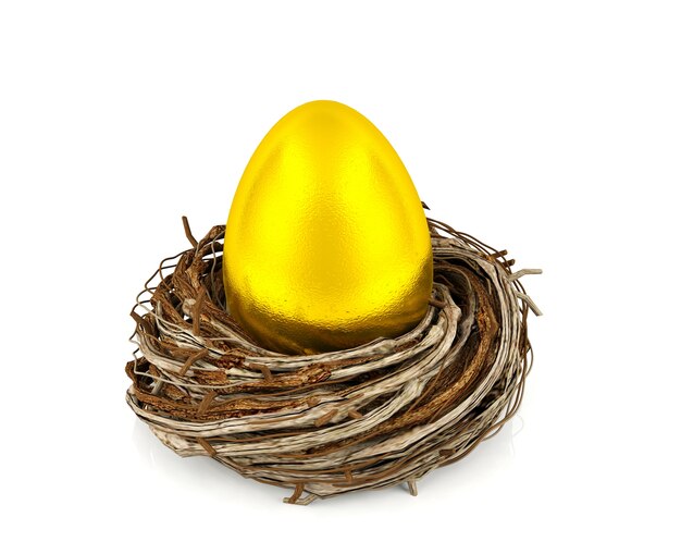 Golden egg in nest, investment and financial concept