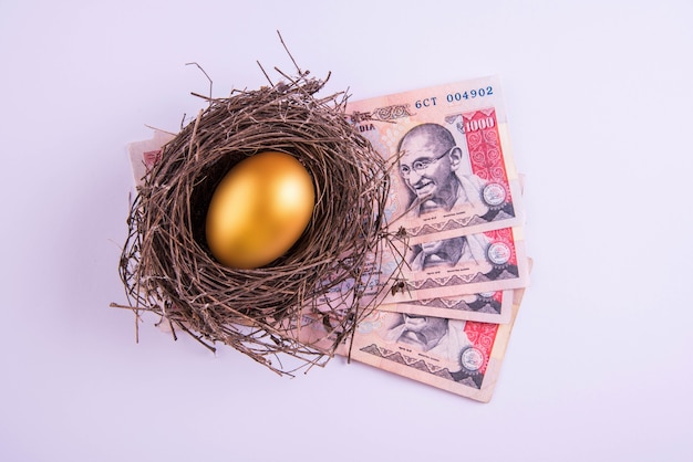 Золотое яйцо в гнезде, полном наличных денег, включая банкноты в 1000 индийских рупий.