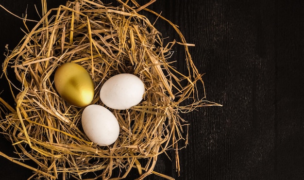 Golden eggs in a nest concept photography