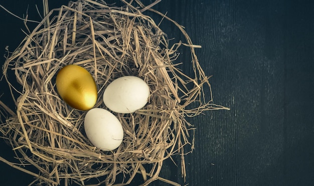 Golden eggs in a nest concept photography