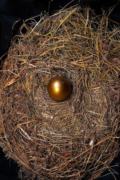 Golden eggs and white eggs in a bird's nest seen from above